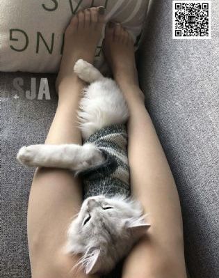 麻豆免费视频网站_BT种子搜索