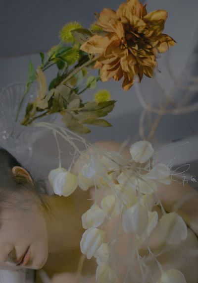 绝命毒师第二季免费观看完整版_HDHD在线观看