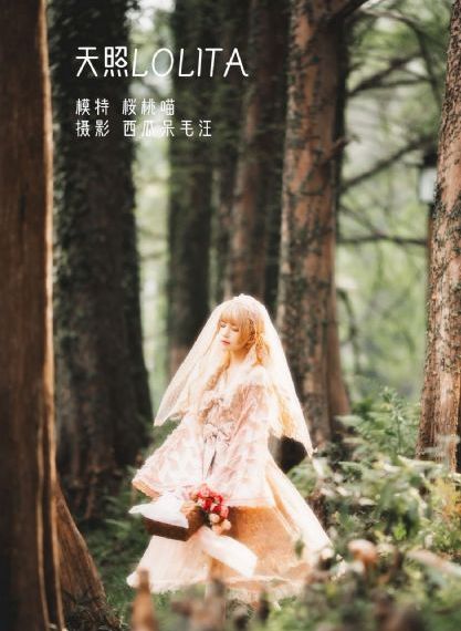 狐妖小红娘月红篇免费观看完整版_BD免费观看视频