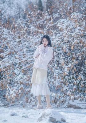 凤归四时歌免费观看_蓝光高清在线观看